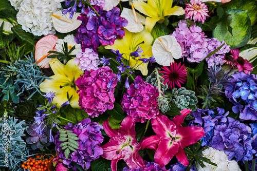 Wallpaper Mural Bright multi-colored flowers in the flowerbed. Farm exhibition Torontodigital.ca