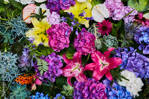 Bright multi-colored flowers in the flowerbed. Farm exhibition
