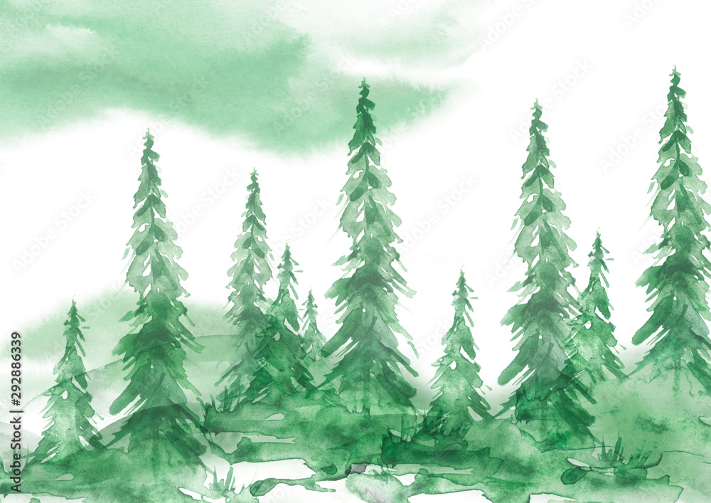 Obraz Watercolor trees, forest, pine, cedar spruce, landscape. The forest is in a fog. In different embodiments. Illustration made for a different design.Forest Watercolor landscape. Misty green forest