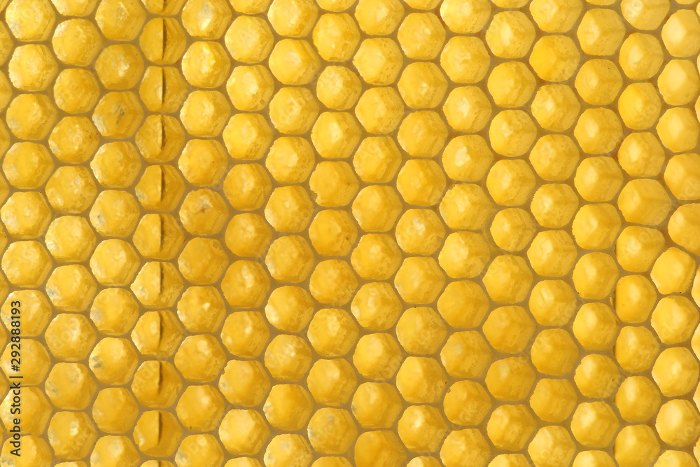 Background texture and pattern of a section of wax honeycomb Background texture and pattern of a section of wax honeycomb