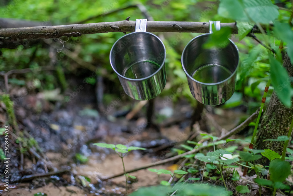 Two metal mugs hang on a branch above a stream in the woods on a summer day