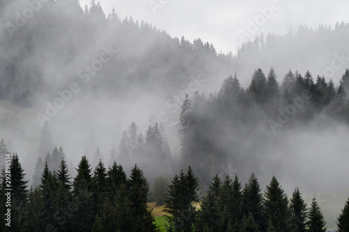 nebel im kleinwalsertal © lotharnahler