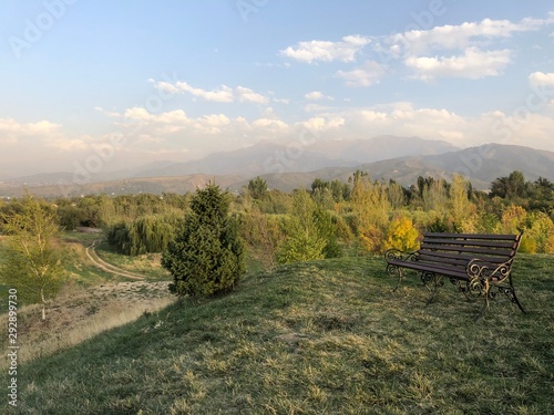 landscape with trees and blue sky © Nurlan