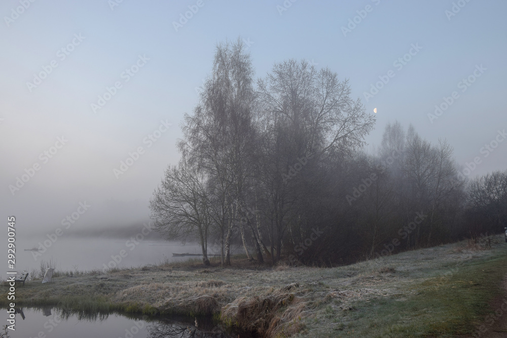 mist picture with tree silhouettes in the morning, beautiful mist on the lake, frost on the ground mist picture with tree silhouettes in the morning, beautiful mist on the lake, frost on the ground