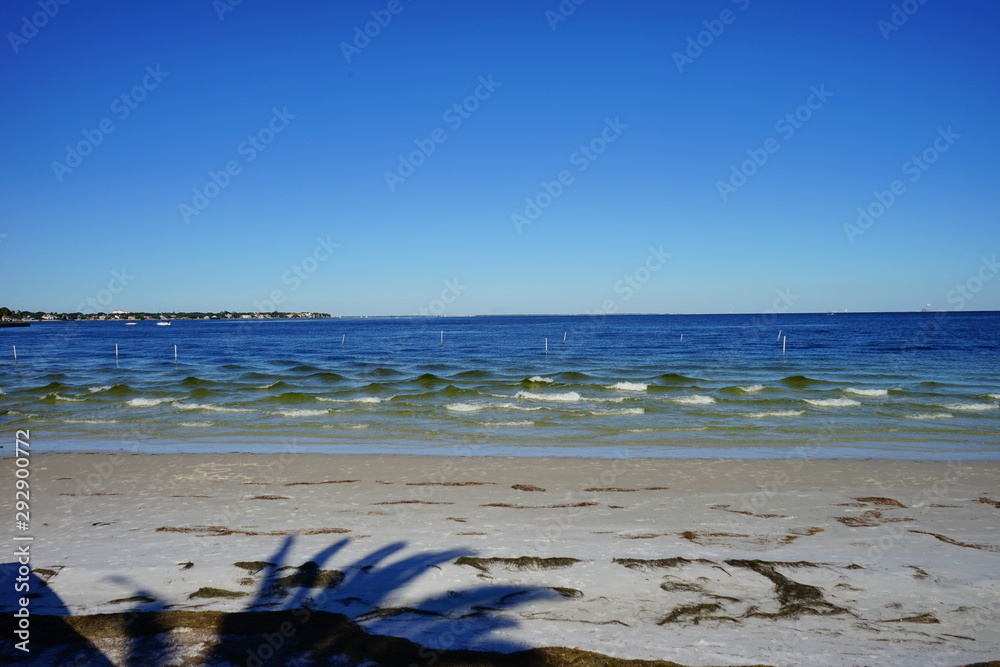 Fototapeta premium St petersburg beach and sea gull 