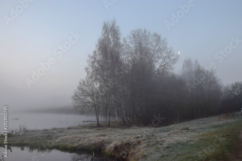 Wallpaper Mural mist picture with tree silhouettes in the morning, beautiful mist on the lake, frost on the ground Torontodigital.ca