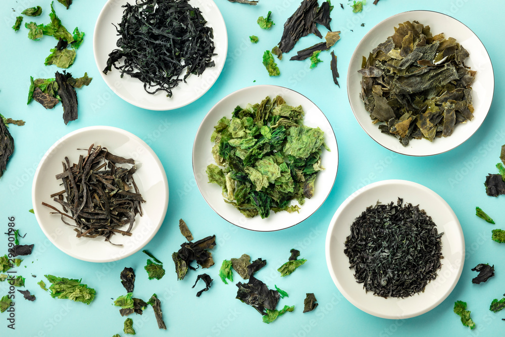 Various dry seaweed, sea vegetables, shot from above on a teal background