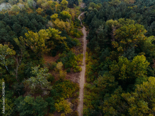 A wonderful view from the drone on a autumn forest.
