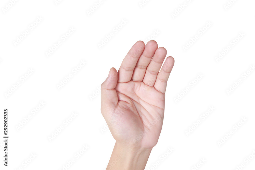 Hand holding something on white backgrounds Hand holding something on white backgrounds