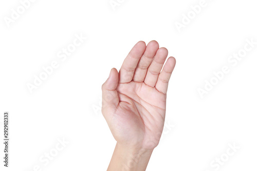 Hand holding something on white backgrounds