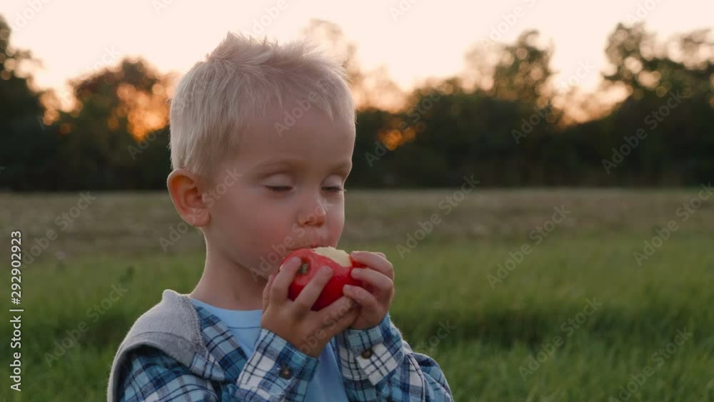 Cute child (toddler boy) eating apple outdoors. Closeup portrait. Harvesting time, apple picking, orchard, fall autumn season concept. Outdoor activities. Sunset Cute child (toddler boy) eating apple outdoors. Closeup portrait. Harvesting time, apple picking, orchard, fall autumn season concept. Outdoor activities. Sunset