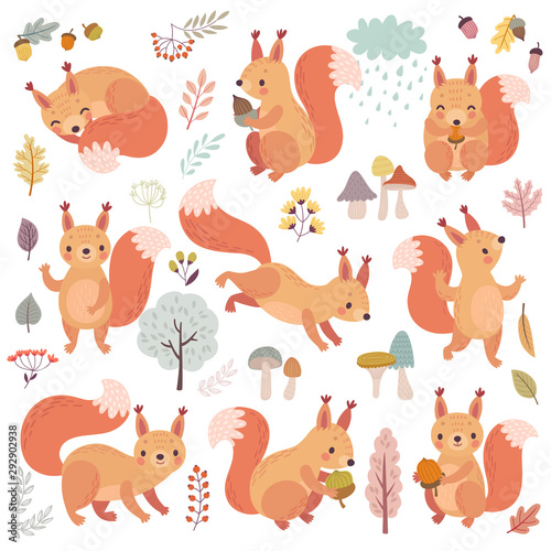 Squirrel set hand drawn style. Cute Woodland characters playing, sleeping, relaxing and having fun.
