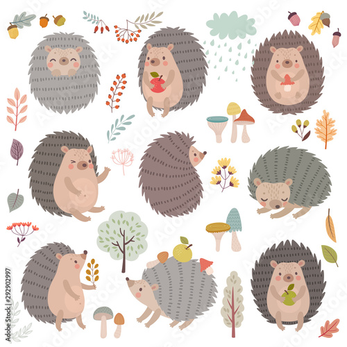 Hedgehog set hand drawn style. Cute Woodland characters playing, sleeping, relaxing and having fun.