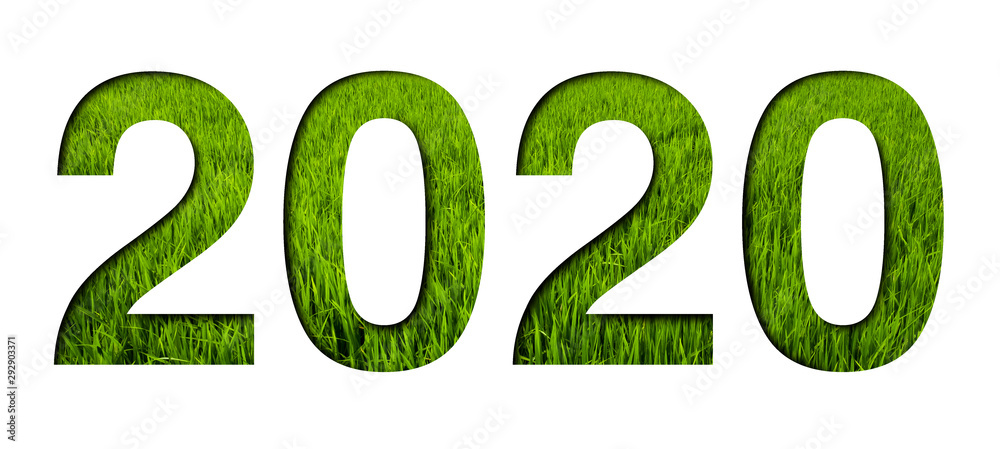 font green grass 2020 on white, new years. paper cut. font green grass 2020 on white, new years. paper cut.
