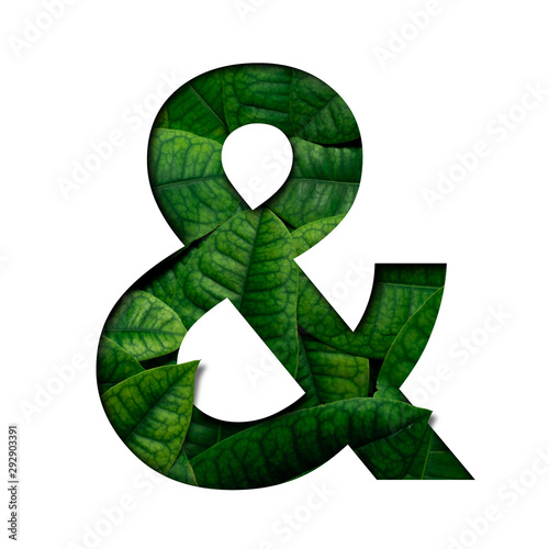 Leafs number & made of Real alive leafs with Precious paper cut shape of font. Leafs font.