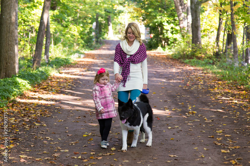 Horizontal full length view of blond young woman with her four-year old daughter and black and white American Akita dog strolling in park alley during a sunny fall morning