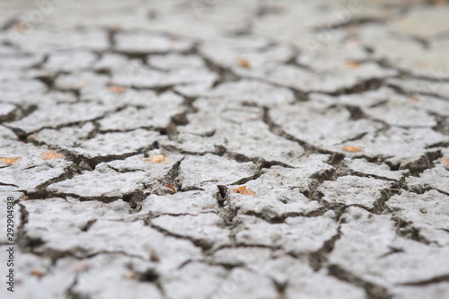 Cracked crust of dried silt. Global warming. Background image