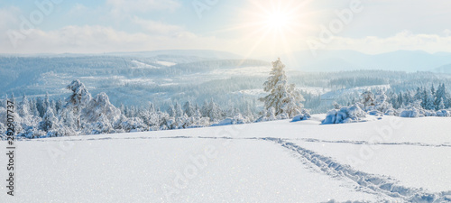  Stunning panorama of snowy landscape in winter in Black Forest - winter wonderland © Corri Seizinger