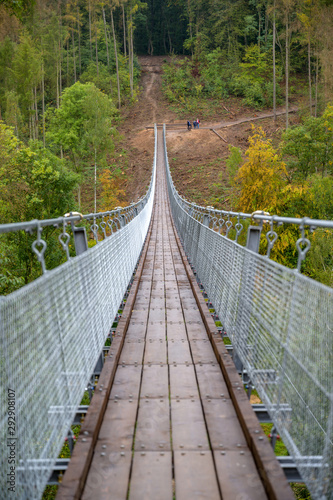 Fototapeta Naklejka Na Ścianę i Meble -  Hängeseilbrücke über dem Bärental in der Hohen Schrecke