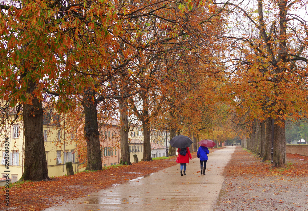 A rainy autumn day in the city Lucca