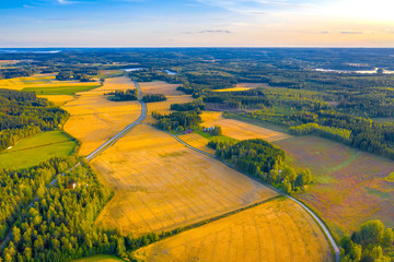 Leinwandbilder Honigfarbe Top aerial panoramic view of green fields and meadows in summer. Abstract landscape with lines of fields, grass, trees, sunny sky and lush foliage. Landscape with drone  © Della_Liner