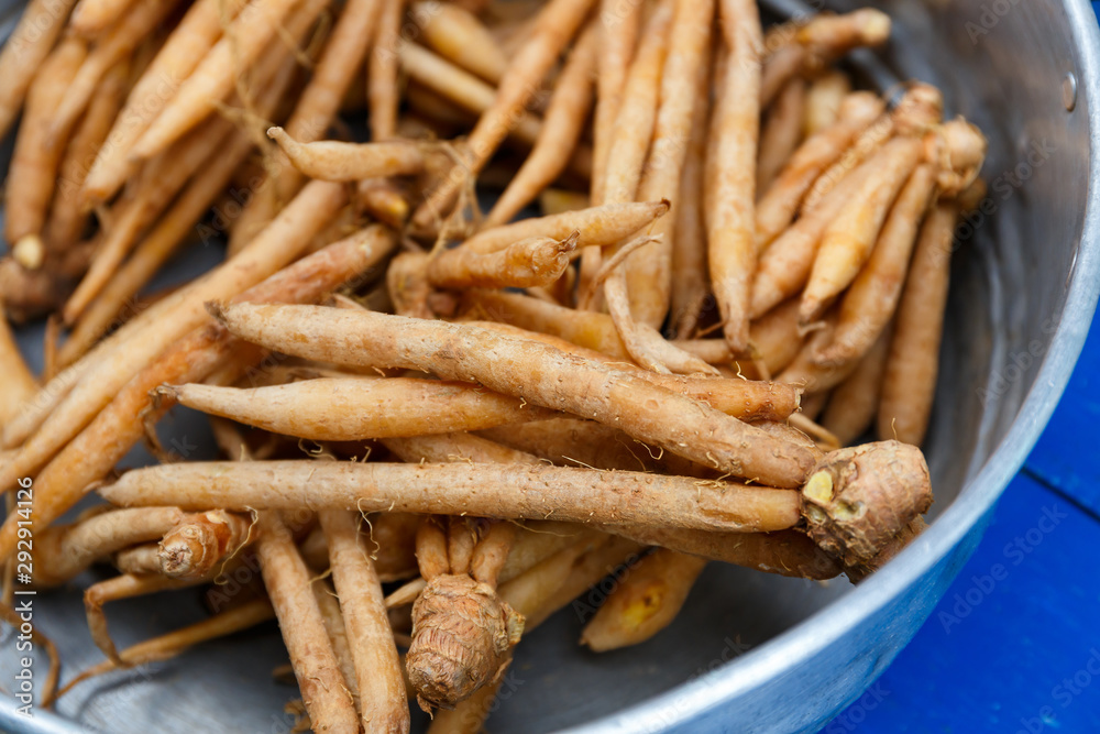 Thai fingerroot, very important herb for Thai cuisine. Thai fingerroot, very important herb for Thai cuisine.