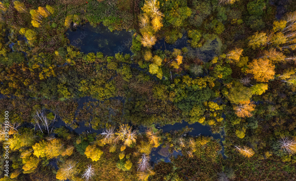 Nature and landscape: aerial view of forest and lakes, autumn leaves, foliage, greenery and trees in a wilderness landscape