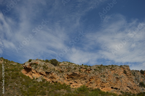 Eagles in the blue sky