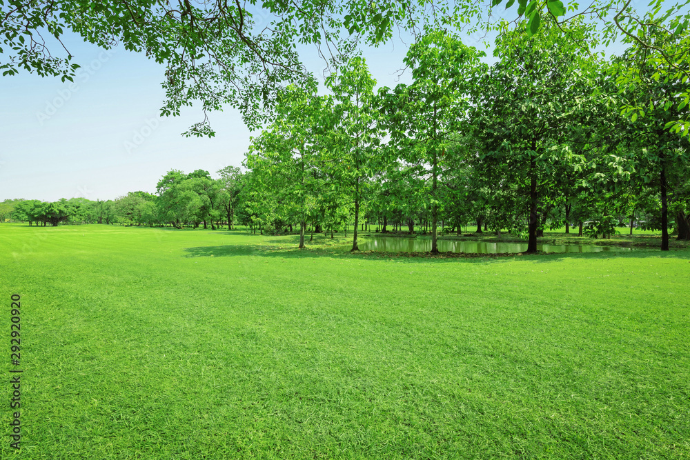 beautiful morning light in public park with green grass field beautiful morning light in public park with green grass field