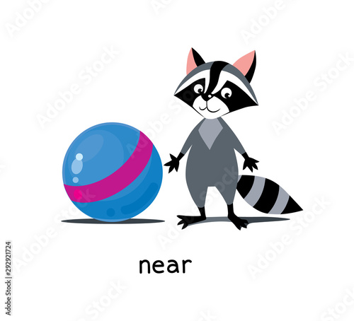 Preposition of place. Raccoon near the ball Stock Vector | Adobe Stock
