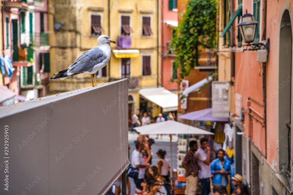 Riomaggiore, Cinque Terre, Italy - August 17, 2019: seagull on the eaves of a busy street, resort town in Europe on the shore of the Ligurian Sea