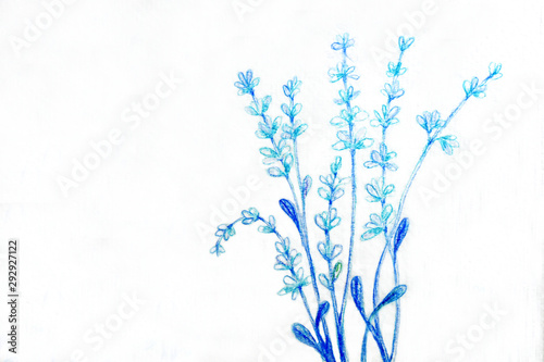 Blue flower or light blue flower on white background.Drawing color pencil