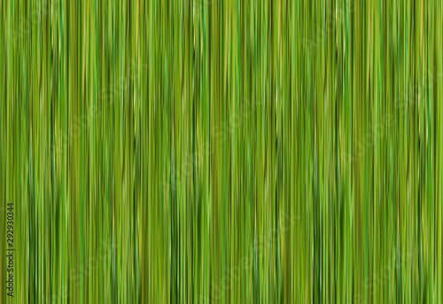 texture green effect bamboo trunk background linear eco base substrate
