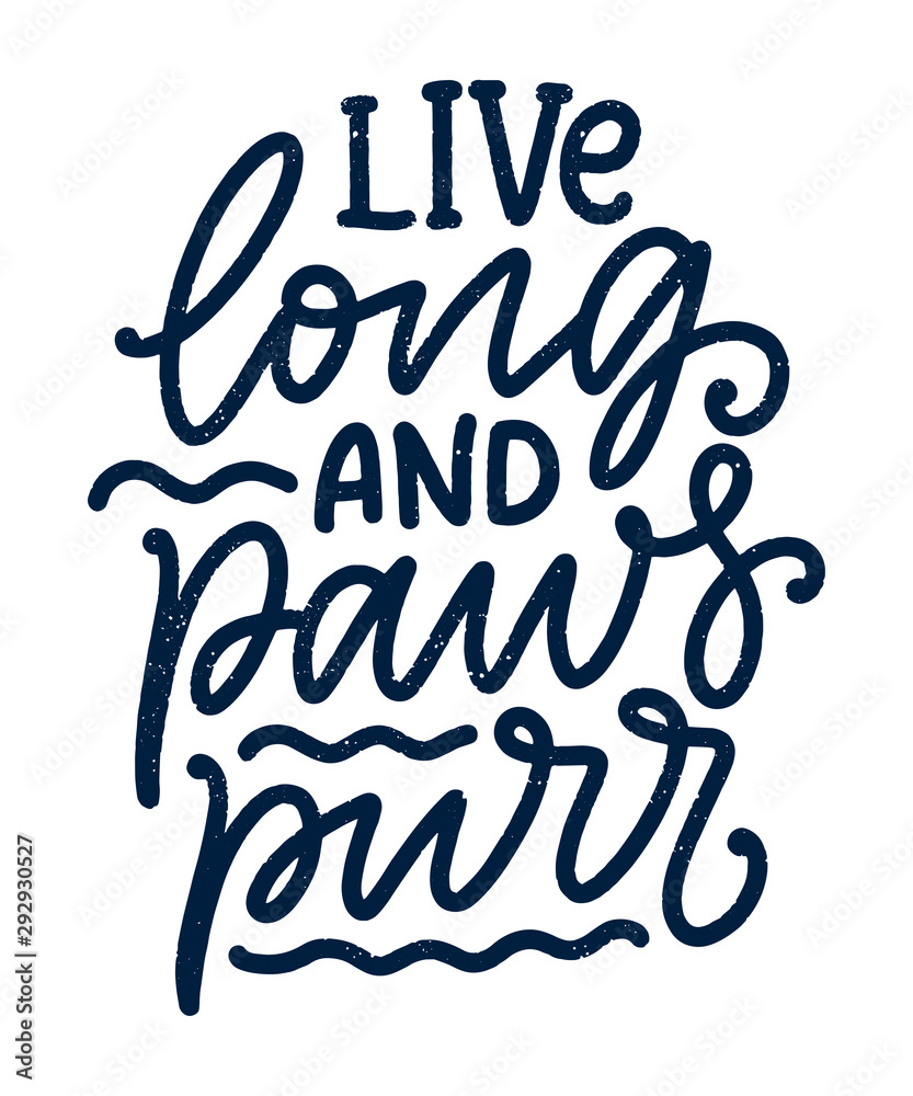 Funny lettering quote about cats for print in hand drawn style. Creative typography slogan design for posters. Cartoon vector illustration.