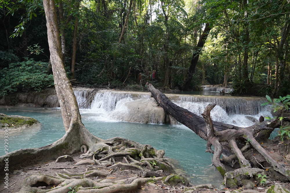 Fototapeta premium waterfall in the forest