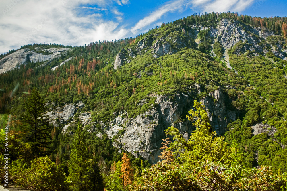 Obraz premium Majestic Yosemite