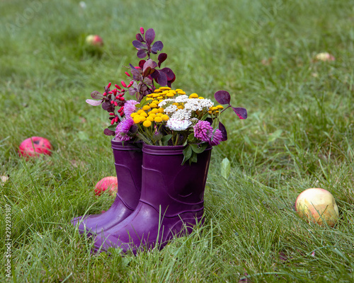 Bouquet of clover and wild flowers in rubber boots. Autumn appeal. Walking in the park.