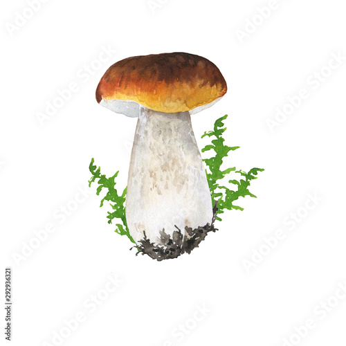 Forest mushroom and green leaves isolated on white background. Hand drawn watercolor illustration.