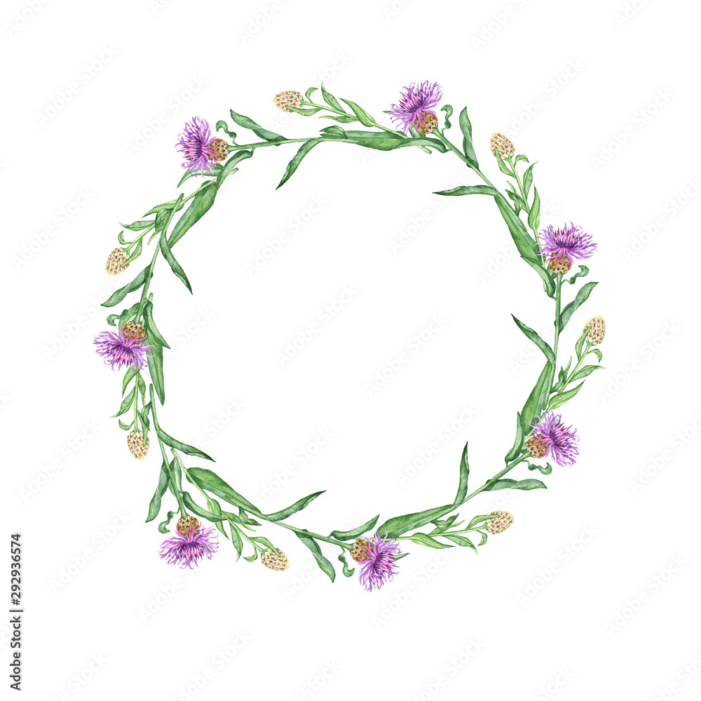 Purple summer flowers frame isolated on white background. Hand drawn watercolor illustration.