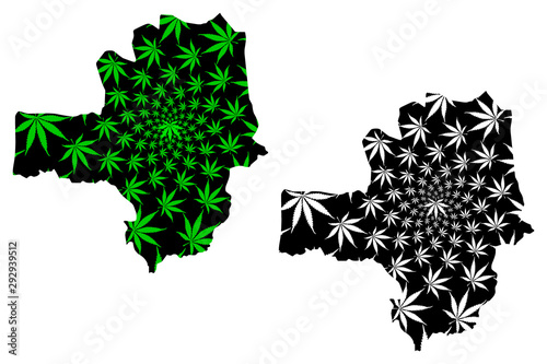 Zamfara State (Subdivisions of Nigeria, Federated state of Nigeria) map is designed cannabis leaf green and black, Zamfara map made of marijuana (marihuana,THC) foliage....