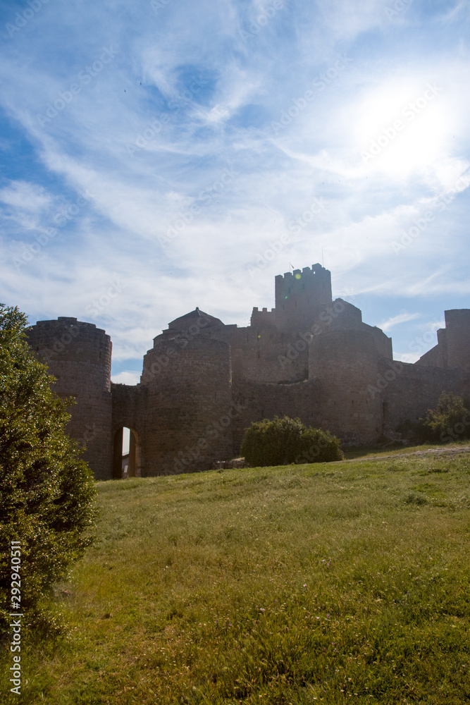 castle on a mountain