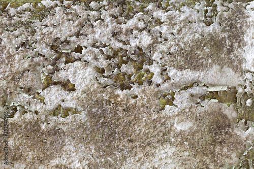 Texture of old gray concrete wall for background