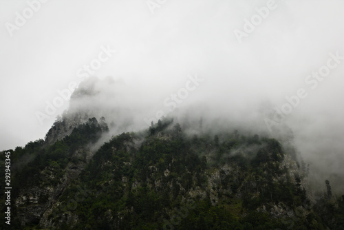 Clouds rising from mountain forest