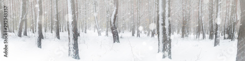 snow fall in winter forest