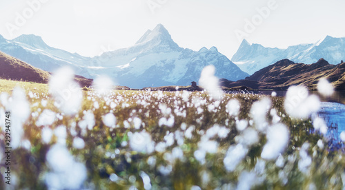Picturesque sunrise on the top of Grossglockner pass, Swiss Alps mountains. Landscape photography