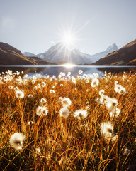 Keuken achterwand Beige Bachalpsee meer in Zwitserse Alpen  © Ivan Kmit