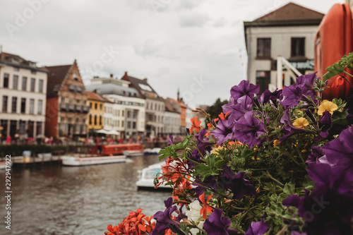 Close up of flowers on canal in Ghent, Belgium © JJMT Photography