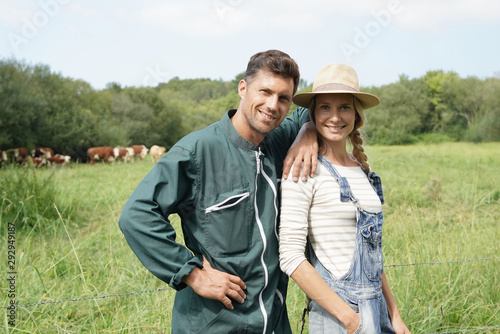 Couple of breeders standing in field, cows in background