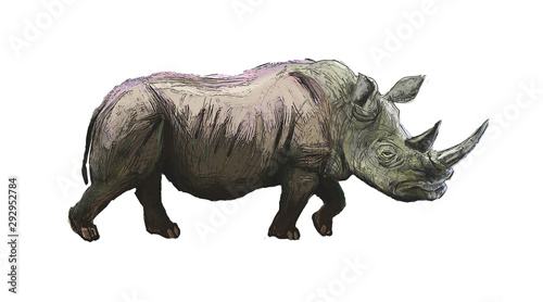 Rhino © Rick