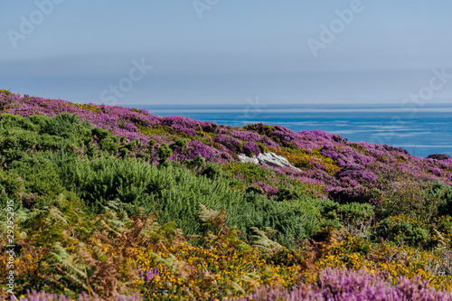 Photography Ireland, the emerald island